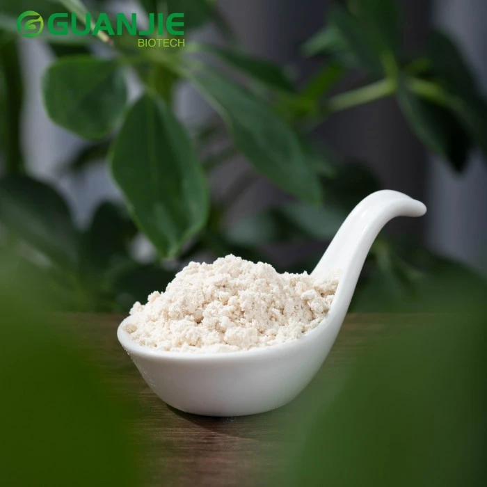 Oat Powder Oat Powder