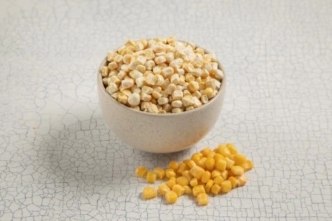 Dried Sweet Corn Dried Sweet Corn