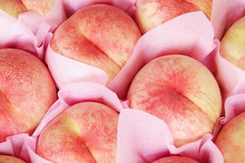 Peach Powder Peach Powder
